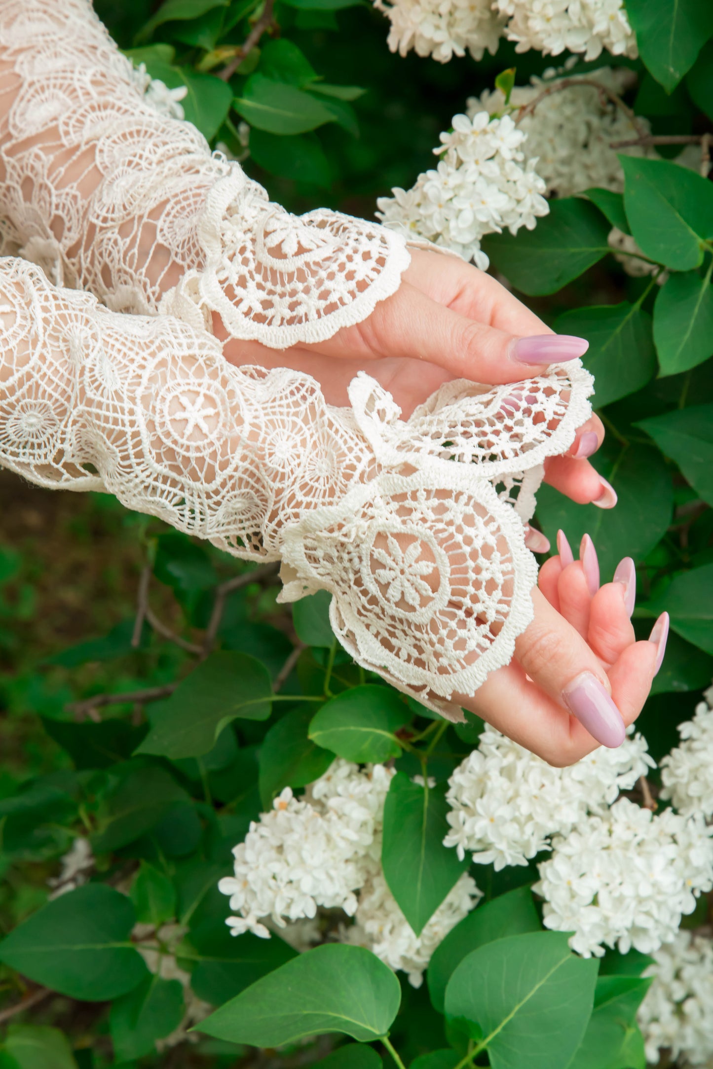 Royal Lace